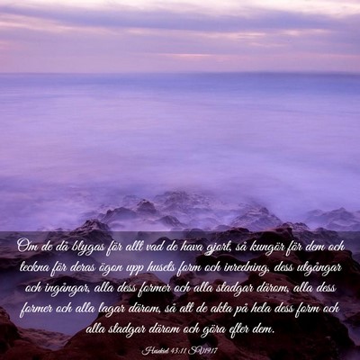 Picture 03 - Hesekiel 43:11 SV1917 - Om de då blygas för allt vad de hava gjort, så - Bible Verse Picture