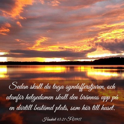 Picture 03 - Hesekiel 43:21 SV1917 - Sedan skall du taga syndofferstjuren, och - Bible Verse Picture