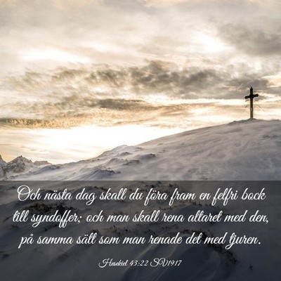 Picture 03 - Hesekiel 43:22 SV1917 - Och nästa dag skall du föra fram en felfri bock - Bible Verse Picture
