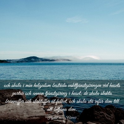 Picture 03 - Hesekiel 44:11 SV1917 - och skola i min helgedom bestrida - Bible Verse Picture