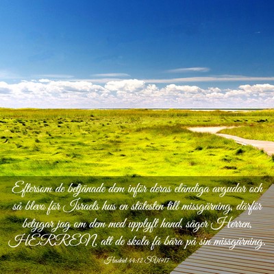 Picture 03 - Hesekiel 44:12 SV1917 - Eftersom de betjänade dem inför deras eländiga - Bible Verse Picture