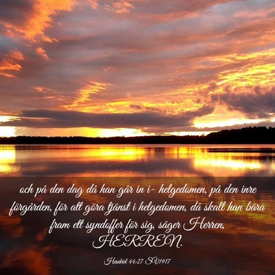 Picture 03 - Hesekiel 44:27 SV1917 - och på den dag då han går in i- helgedomen, - Bible Verse Picture