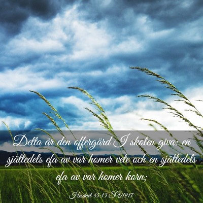 Picture 03 - Hesekiel 45:13 SV1917 - Detta är den offergärd I skolen giva: en - Bible Verse Picture