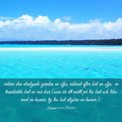 Picture 03 - Hesekiel 45:14 SV1917 - vidare den stadgade gärden av olja, räknat - Bible Verse Picture