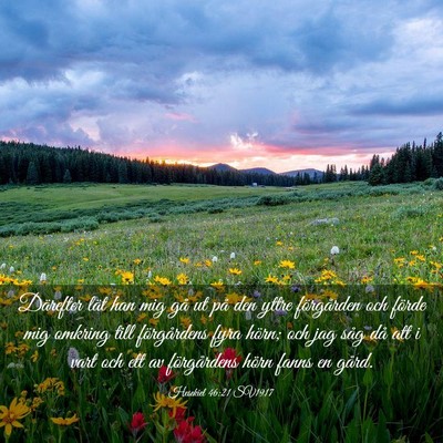 Picture 03 - Hesekiel 46:21 SV1917 - Därefter lät han mig gå ut på den yttre - Bible Verse Picture