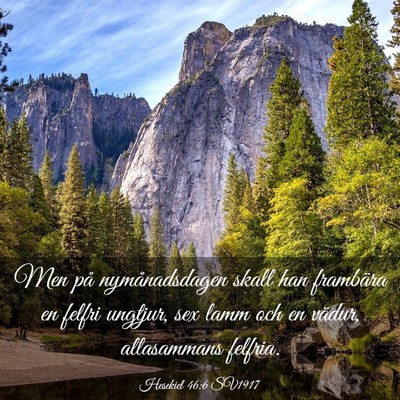 Picture 03 - Hesekiel 46:6 SV1917 - Men på nymånadsdagen skall han frambära en - Bible Verse Picture