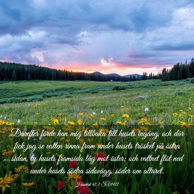 Picture 03 - Hesekiel 47:1 SV1917 - Därefter förde han mig tillbaka till husets - Bible Verse Picture