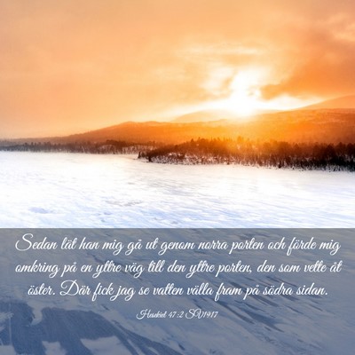 Picture 03 - Hesekiel 47:2 SV1917 - Sedan lät han mig gå ut genom norra porten och - Bible Verse Picture