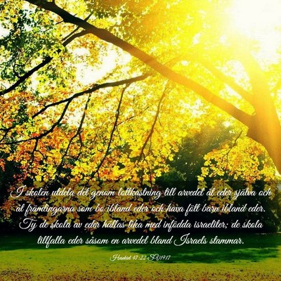 Picture 03 - Hesekiel 47:22 SV1917 - I skolen utdela det genom lottkastning till - Bible Verse Picture