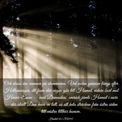 Picture 03 - Hesekiel 48:1 SV1917 - Och dessa äro namnen på stammarna. Vid norra - Bible Verse Picture
