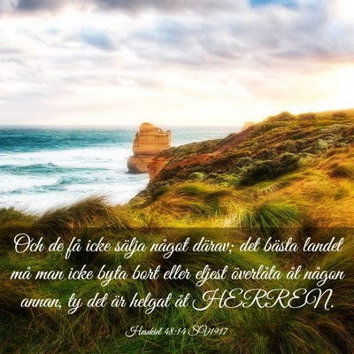 Picture 03 - Hesekiel 48:14 SV1917 - Och de få icke sälja något därav; det bästa - Bible Verse Picture