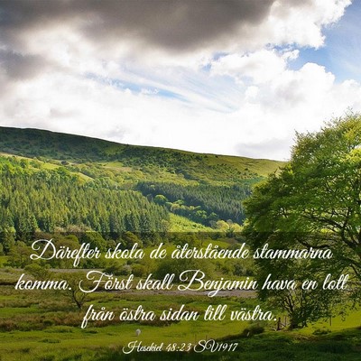 Picture 03 - Hesekiel 48:23 SV1917 - Därefter skola de återstående stammarna komma. - Bible Verse Picture