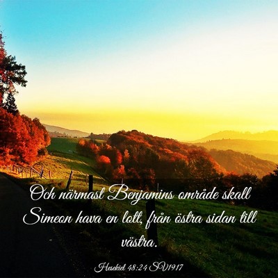 Picture 03 - Hesekiel 48:24 SV1917 - Och närmast Benjamins område skall Simeon hava - Bible Verse Picture