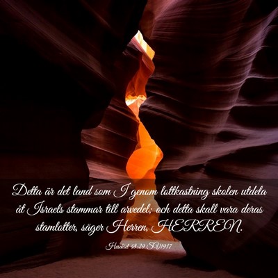 Picture 03 - Hesekiel 48:29 SV1917 - Detta är det land som I genom lottkastning - Bible Verse Picture