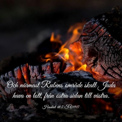 Picture 03 - Hesekiel 48:7 SV1917 - Och närmast Rubens område skall Juda hava en - Bible Verse Picture