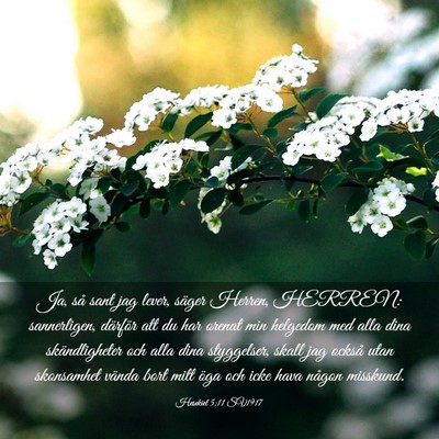 Picture 03 - Hesekiel 5:11 SV1917 - Ja, så sant jag lever, säger Herren, HERREN: - Bible Verse Picture