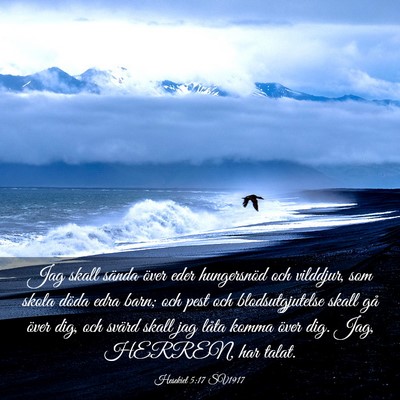 Picture 03 - Hesekiel 5:17 SV1917 - Jag skall sända över eder hungersnöd och - Bible Verse Picture
