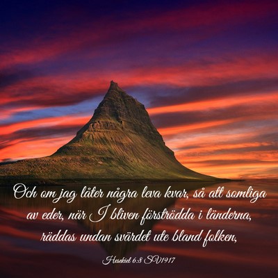 Picture 03 - Hesekiel 6:8 SV1917 - Och om jag låter några leva kvar, så att - Bible Verse Picture