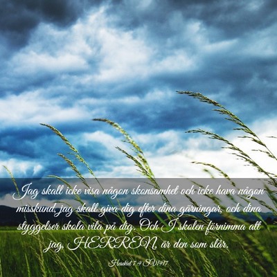 Picture 03 - Hesekiel 7:9 SV1917 - Jag skall icke visa någon skonsamhet och icke - Bible Verse Picture