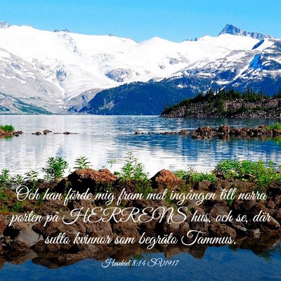 Picture 03 - Hesekiel 8:14 SV1917 - Och han förde mig fram mot ingången till norra - Bible Verse Picture