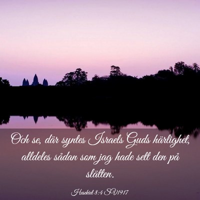 Picture 03 - Hesekiel 8:4 SV1917 - Och se, där syntes Israels Guds härlighet, - Bible Verse Picture