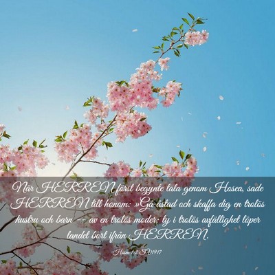 Picture 03 - Hosea 1:2 SV1917 - När HERREN först begynte tala genom Hosea, sade - Bible Verse Picture