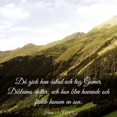 Picture 03 - Hosea 1:3 SV1917 - Då gick han åstad och tog Gomer, Diblaims - Bible Verse Picture