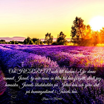 Picture 03 - Hosea 1:4 SV1917 - Och HERREN sade till honom: »Giv denne namnet - Bible Verse Picture