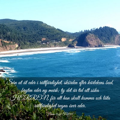 Picture 03 - Hosea 10:12 SV1917 - Sån ut åt eder i rättfärdighet, skörden - Bible Verse Picture