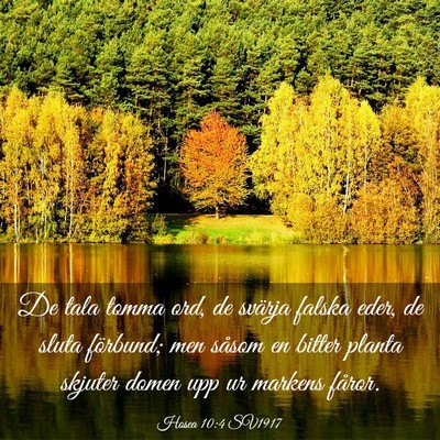 Picture 03 - Hosea 10:4 SV1917 - De tala tomma ord, de svärja falska eder, de - Bible Verse Picture