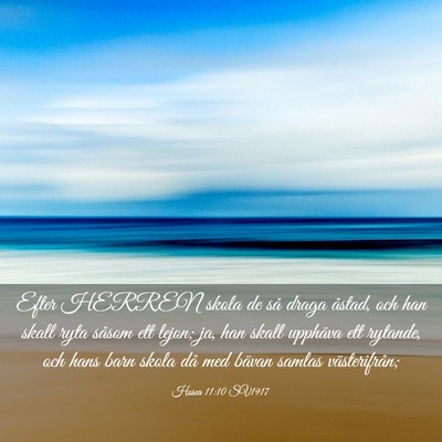 Picture 03 - Hosea 11:10 SV1917 - Efter HERREN skola de så draga åstad, och han - Bible Verse Picture