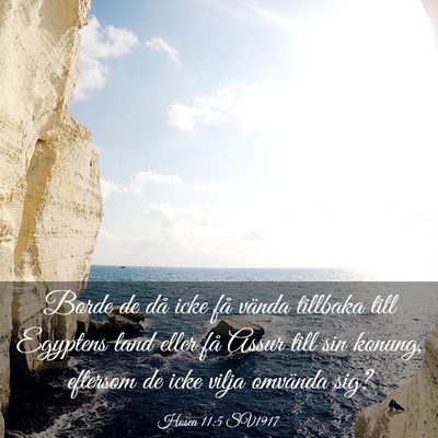 Picture 03 - Hosea 11:5 SV1917 - Borde de då icke få vända tillbaka till - Bible Verse Picture