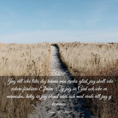 Picture 03 - Hosea 11:9 SV1917 - Jag vill icke låta dig känna min vredes glöd, - Bible Verse Picture