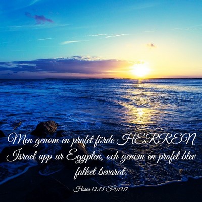Picture 03 - Hosea 12:13 SV1917 - Men genom en profet förde HERREN Israel upp ur - Bible Verse Picture