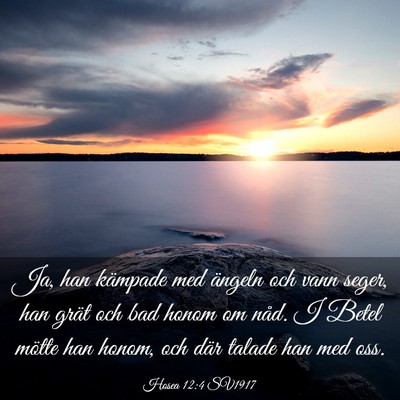 Picture 03 - Hosea 12:4 SV1917 - Ja, han kämpade med ängeln och vann seger, han - Bible Verse Picture