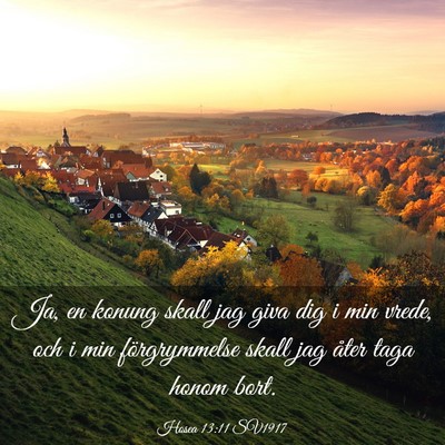 Picture 03 - Hosea 13:11 SV1917 - Ja, en konung skall jag giva dig i min vrede, och - Bible Verse Picture