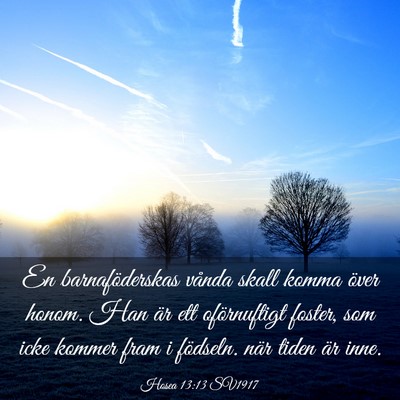Picture 03 - Hosea 13:13 SV1917 - En barnaföderskas vånda skall komma över - Bible Verse Picture
