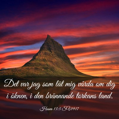 Picture 03 - Hosea 13:5 SV1917 - Det var jag som lät mig vårda om dig i öknen, - Bible Verse Picture
