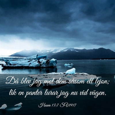 Picture 03 - Hosea 13:7 SV1917 - Då blev jag mot dem såsom ett lejon; lik en - Bible Verse Picture