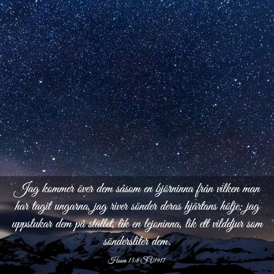 Picture 03 - Hosea 13:8 SV1917 - Jag kommer över dem såsom en björninna från - Bible Verse Picture