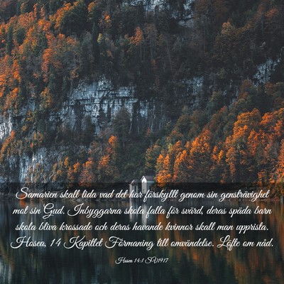 Picture 03 - Hosea 14:1 SV1917 - Samarien skall lida vad det har förskyllt genom - Bible Verse Picture