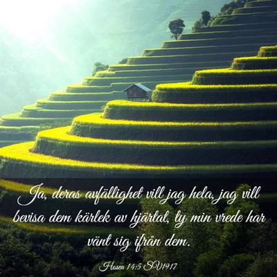 Picture 03 - Hosea 14:5 SV1917 - Ja, deras avfällighet vill jag hela, jag vill - Bible Verse Picture