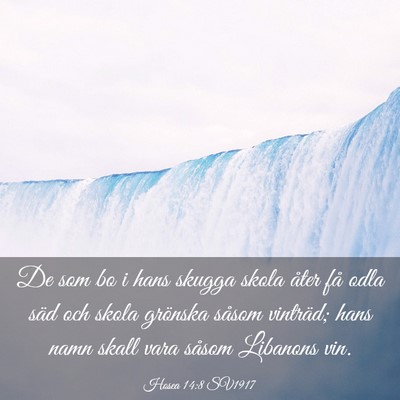 Picture 03 - Hosea 14:8 SV1917 - De som bo i hans skugga skola åter få odla säd - Bible Verse Picture