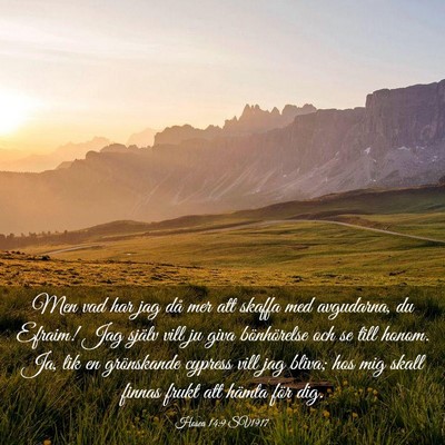 Picture 03 - Hosea 14:9 SV1917 - Men vad har jag då mer att skaffa med avgudarna, - Bible Verse Picture