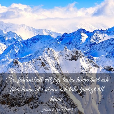 Picture 03 - Hosea 2:14 SV1917 - Se, fördenskull vill jag locka henne bort och - Bible Verse Picture