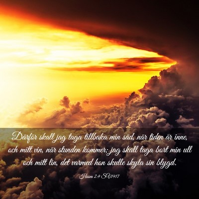 Picture 03 - Hosea 2:9 SV1917 - Därför skall jag taga tillbaka min säd, när - Bible Verse Picture