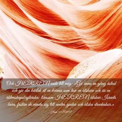 Picture 03 - Hosea 3:1 SV1917 - Och HERREN sade till mig: »Gå ännu en gång - Bible Verse Picture