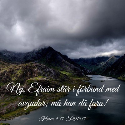 Picture 03 - Hosea 4:17 SV1917 - Nej, Efraim står i förbund med avgudar; må han - Bible Verse Picture
