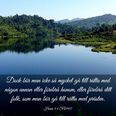 Picture 03 - Hosea 4:4 SV1917 - Dock bör man icke så mycket gå till rätta med - Bible Verse Picture