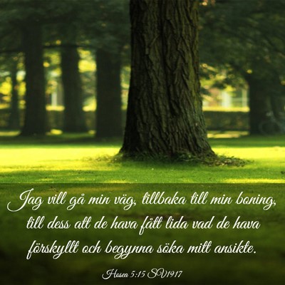 Picture 03 - Hosea 5:15 SV1917 - Jag vill gå min väg, tillbaka till min boning, - Bible Verse Picture
